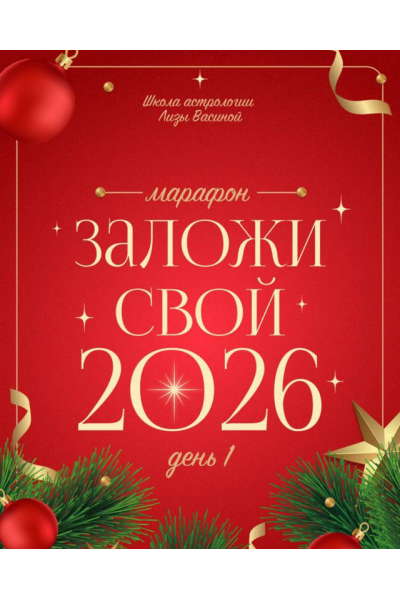 Заложи свой 2026  Лиза Васина