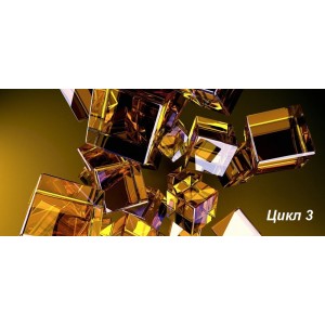 Архетипический 3D Портрет. Цикл 3. Ирина Бердина