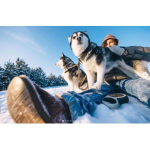 Univer 8. Тариф Бизнес. Максим Добрый