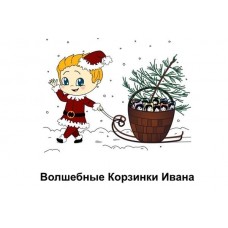 Волшебные корзинки Ивана. Корзинка 7 и 16. Римма Карамова