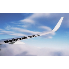 Майский жук 2. Римма Карамова