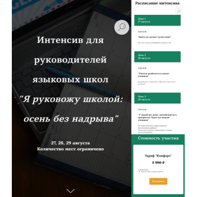 Интенсив для руководителей языковых школ Я руковожу школой: осень без надрыва. Тариф Комфорт. Татьяна Фанштейн