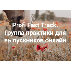 Profi Fast Track. Всё всегда плохо. Группа практики для выпускников онлайн 2024. Елена Веселаго, Институт Открытого поля