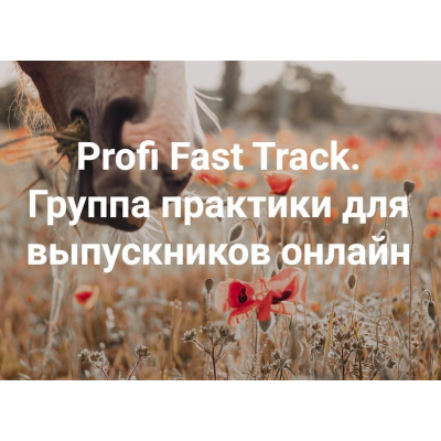 Profi Fast Track. Всё всегда плохо. Группа практики для выпускников онлайн 2024. Елена Веселаго, Институт Открытого поля