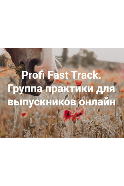 Profi Fast Track. Всё всегда плохо. Группа практики для выпускников онлайн 2024. Елена Веселаго, Институт Открытого поля