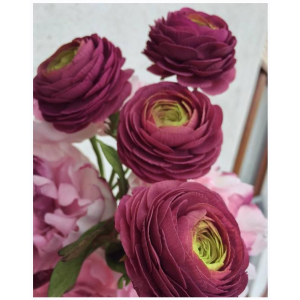 Необычная сахарная мастика. Алена Уйшаг Необычная сахарная мастика. Алена Уйшаг