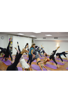 Принципы Движения + Пилатес Polestar Pilates Mat 1-3. Три модуля, Polestar Pilates Russia