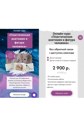 Пластическая анатомия и фигура человека. Екатерина Бердюгина, Роман Круглов. 