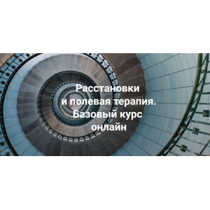 Расстановки и полевая терапия. Базовый курс 2024. Тариф Только теория. Елена Веселаго