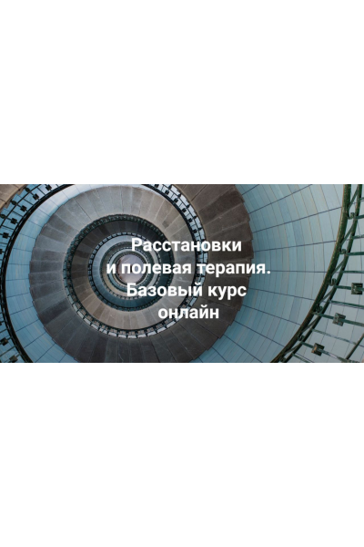 Расстановки и полевая терапия. Базовый курс 2024. Тариф Только теория. Елена Веселаго