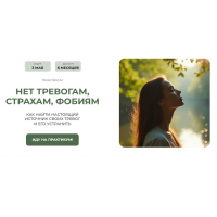 Практикум Нет тревогам, страхам, фобиям. Пакет №1 Забираю все! Александра Алексеева