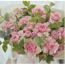 Новый сорт Розы. Мирослава Садовая, Zefir.Mira