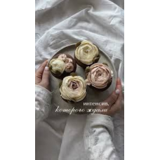 Интенсив Кремовая флористика - твои пионы. Тариф 2. bento_art