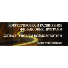 Модуль-практика Корректировка и расширение финансовых программ согласно новым возможностям. Растворение блоков. Эмилия Франк
