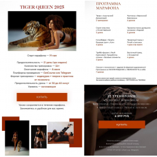 Tiger Queen 2025. sensemedance