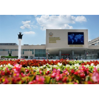 Психологическое консультирование. Все семестры, РУДН