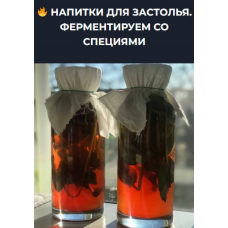Напитки для застолья. Ферментируем со специями. Вероника Порсина