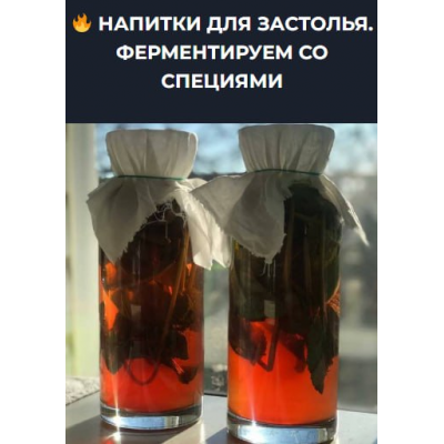 Напитки для застолья. Ферментируем со специями. Вероника Порсина
