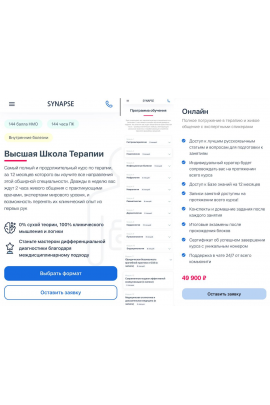 Высшая школа терапии. Тариф Онлайн, Synapse