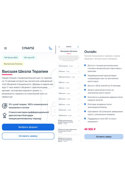 Высшая школа терапии. Тариф Онлайн, Synapse