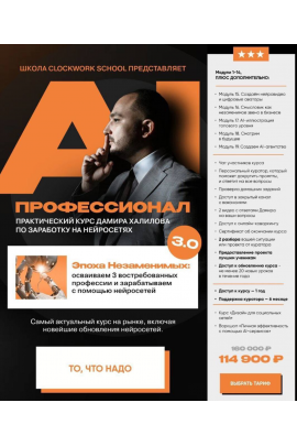 AI-профессионал 4.0. Тариф Gold. Дамир Халилов