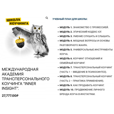 Школа Коучинга - 3 поток. Владимир Баранов, Inner Insight