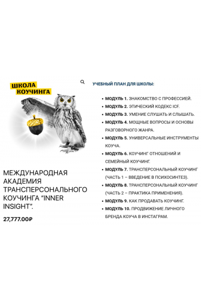 Школа Коучинга - 3 поток. Владимир Баранов, Inner Insight