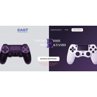 Управление проектами. Ксения Домбровская, EASY managment