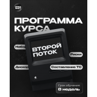 Обучение скальпингу от практика, ProBoy