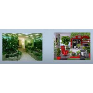 Фитодизайн в интерьере, Prodecoring