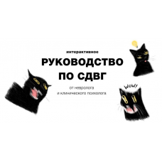 Руководство по СДВГ. Ирина Галеева, Екатерина Исупова, доктор Галеева