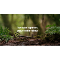 Полевая терапия: решения и тайны. Елена Веселаго, Институт Открытого поля