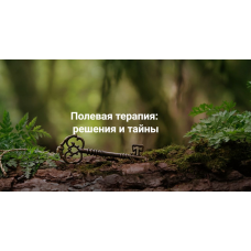 Полевая терапия: решения и тайны. Елена Веселаго, Институт Открытого поля