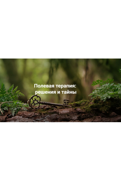Полевая терапия: решения и тайны. Елена Веселаго, Институт Открытого поля