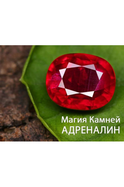 Магия камней Адреналин. Анна Гак
