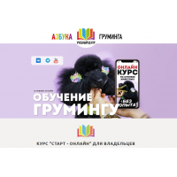 Обучение грумингу. Старт-онлайн. Тариф для дома. Дарья Казимова, Азбука Груминга