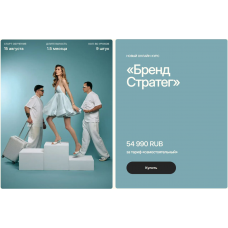 Бренд стратег. Тариф Самостоятельный. Алиса Яковлева, Сергей Величкин, Design Wonderland