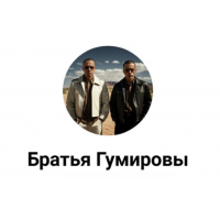 НейроБилдер. Братья Гумировы