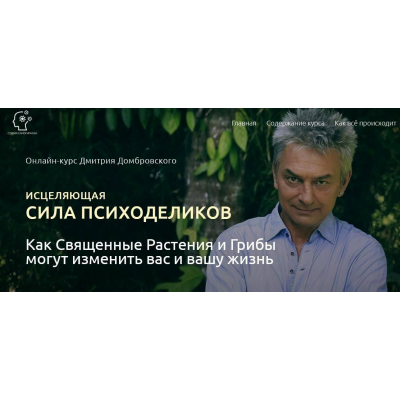  Исцеляющая Сила Психоделиков. Дмитрий Домбровский