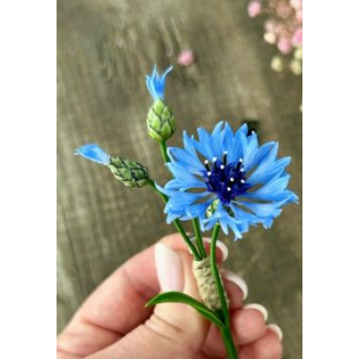 Брошь Василек. Ольга Бутяева