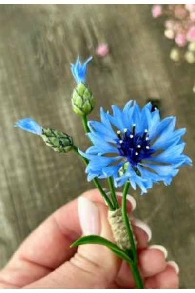 Брошь Василек. Ольга Бутяева