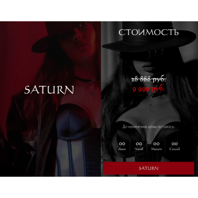 Saturn. Наталия Брижатюк. winger_angel