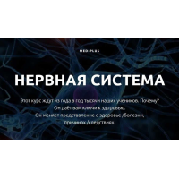 Нервная система. Татьяна Шершнева