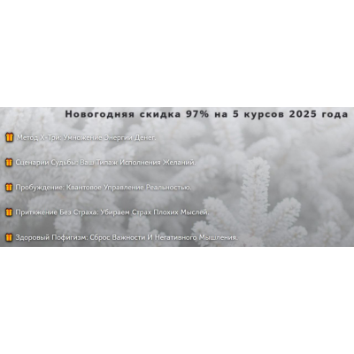 Новогодняя скидка 97% на 5 курсов 2025 года. Нико Бауман