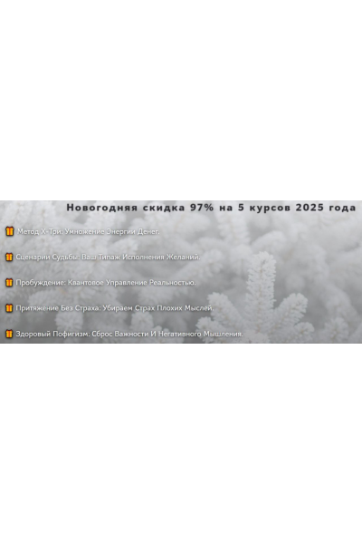 Новогодняя скидка 97% на 5 курсов 2025 года. Нико Бауман