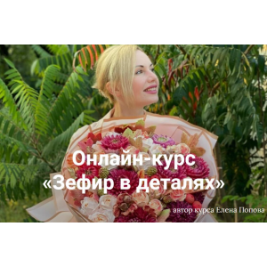 Зефир в деталях. Тариф Продвинутый. Елена Попова  elenapo11 Зефир в деталях. Тариф Продвинутый. Елена Попова  elenapo11