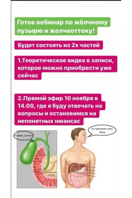 Желчный пузырь и отток желчи. Дарья Ермишина