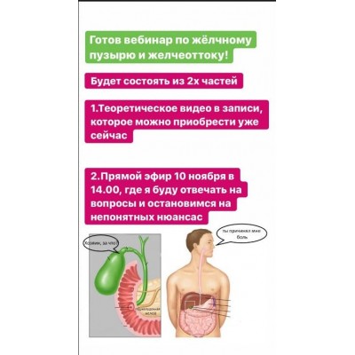 Желчный пузырь и отток желчи. Дарья Ермишина