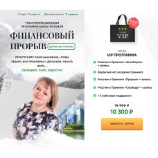 Финансовый прорыв. Елена Котова 