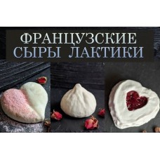 Онлайн-курс по французским сырам категории Лактик. Appetissimo